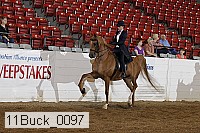 11buck_0097 proof