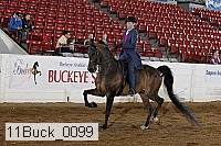 11buck_0099 proof