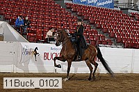 11buck_0102 proof
