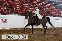 11buck_0104 proof