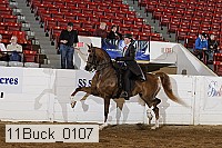 11buck_0107 proof