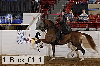 11buck_0111 proof