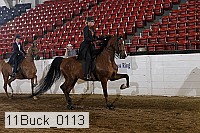 11buck_0113 proof