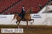 11buck_0115 proof