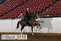 11buck_0119 proof