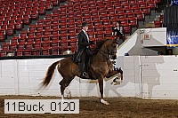 11buck_0120 proof