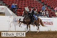 11buck_0124 proof