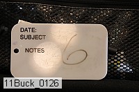 11buck_0126 proof