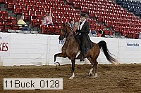 11buck_0128 proof