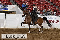 11buck_0129 proof