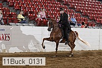 11buck_0131 proof
