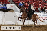 11buck_0133 proof