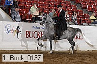 11buck_0137 proof