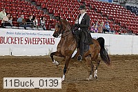 11buck_0139 proof