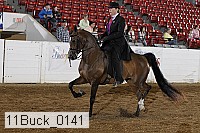 11buck_0141 proof
