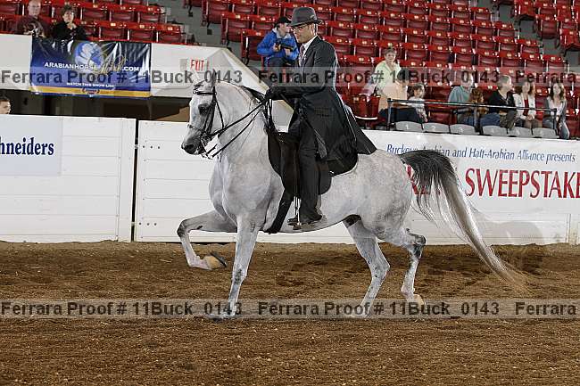 Proof 11buck_0143
