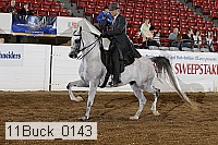 11buck_0143 proof