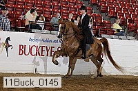 11buck_0145 proof
