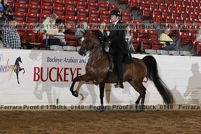 Proof 11buck_0148