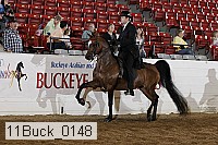 11buck_0148 proof