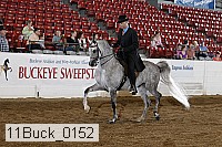 11buck_0152 proof