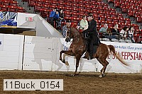 11buck_0154 proof