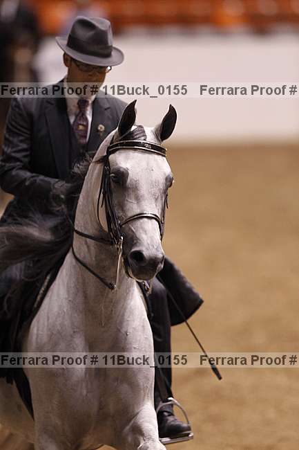 Proof 11buck_0155