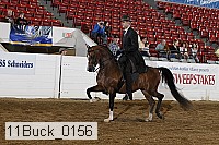 11buck_0156 proof