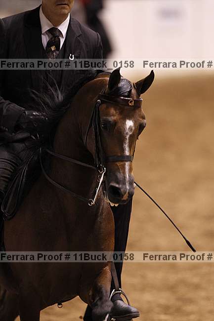 Proof 11buck_0158