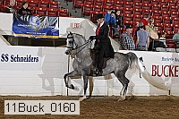 11buck_0160 proof