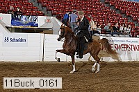 11buck_0161 proof