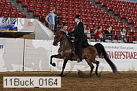 11buck_0164 proof