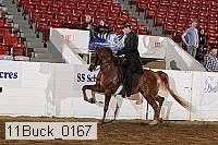 11buck_0167 proof