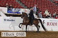 11buck_0168 proof