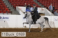 11buck_0169 proof