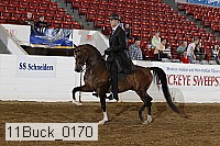 11buck_0170 proof