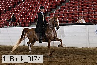 11buck_0174 proof