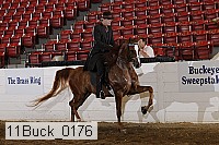 11buck_0176 proof