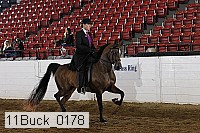 11buck_0178 proof