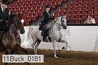 11buck_0181 proof
