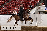 11buck_0183 proof