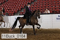 11buck_0184 proof