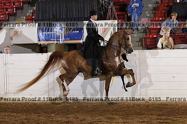 Proof 11buck_0185