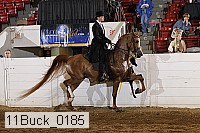 11buck_0185 proof