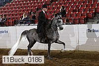11buck_0186 proof