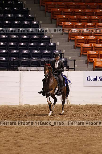 Proof 11buck_0195
