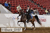 11buck_0197 proof