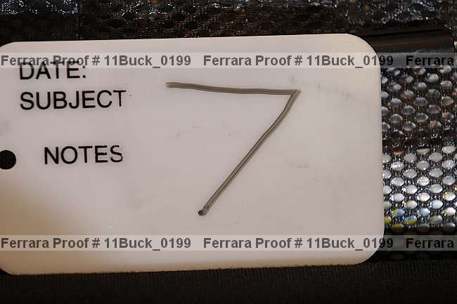 Proof 11buck_0199