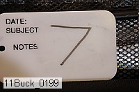 11buck_0199 proof
