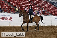 11buck_0200 proof